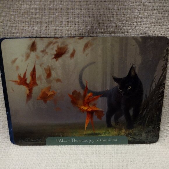 Fantasy Cats Oracle - Picture 11 of 11